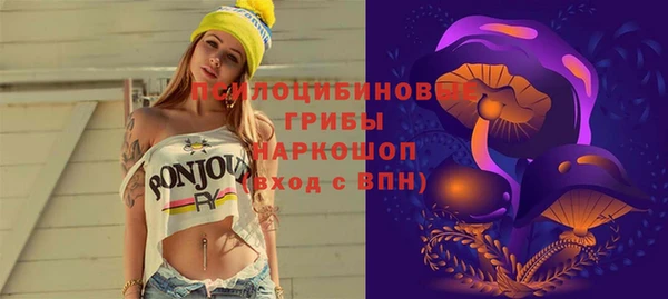 ГАЛЛЮЦИНОГЕННЫЕ ГРИБЫ Армянск