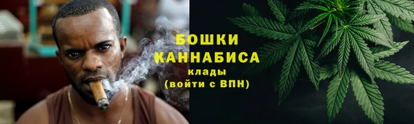 ГАЛЛЮЦИНОГЕННЫЕ ГРИБЫ Армянск