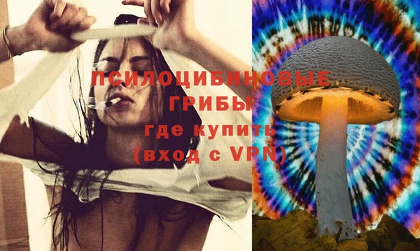 ГАЛЛЮЦИНОГЕННЫЕ ГРИБЫ Армянск